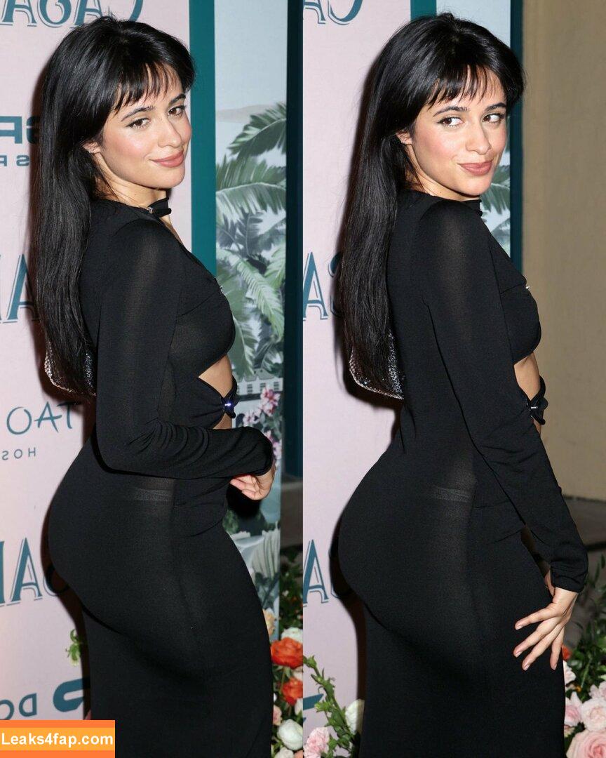 Camila Cabello / Camila_Cabello / camilacabello / iamgabrielaung leaked photo photo #0895