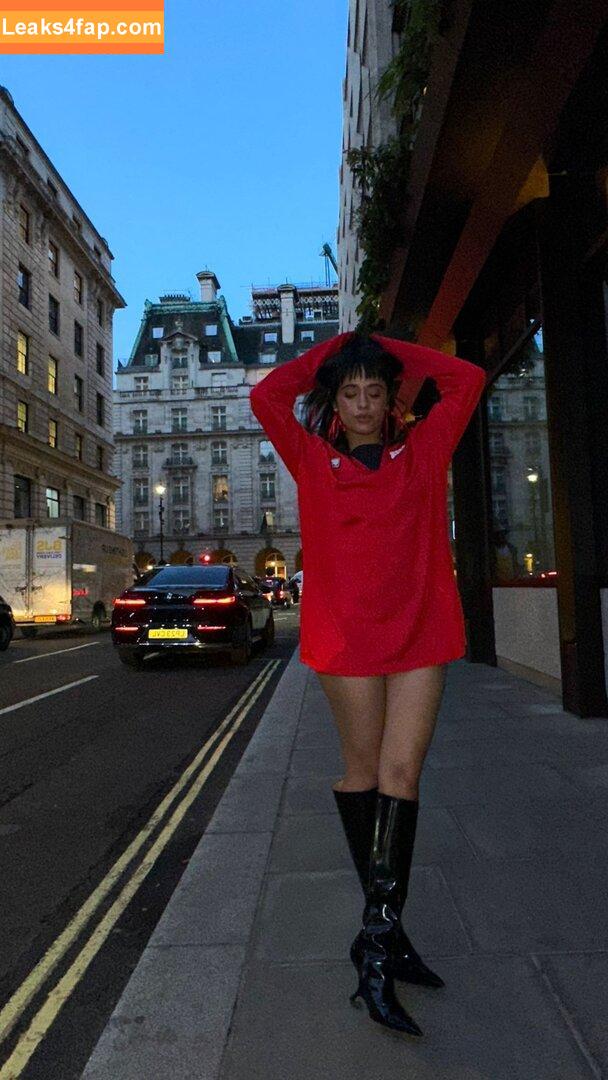 Camila Cabello / Camila_Cabello / camilacabello / iamgabrielaung leaked photo photo #0897