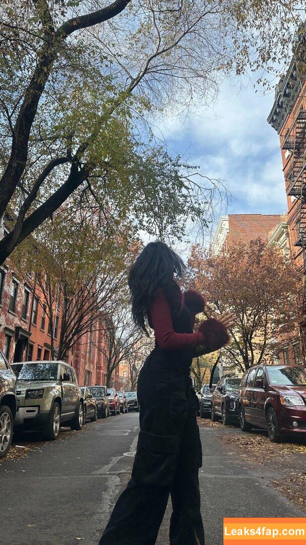 Camila Cabello / Camila_Cabello / camilacabello / iamgabrielaung leaked photo photo #1009