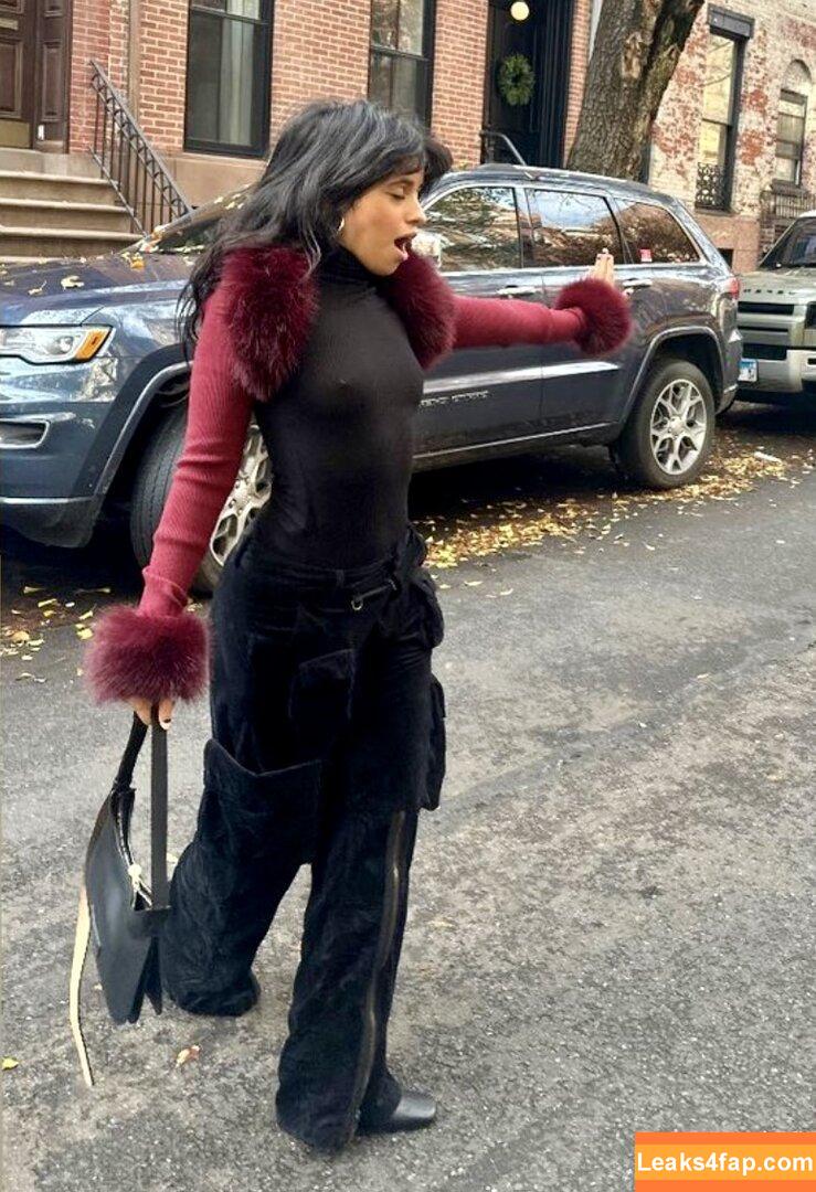 Camila Cabello / Camila_Cabello / camilacabello / iamgabrielaung leaked photo photo #1011