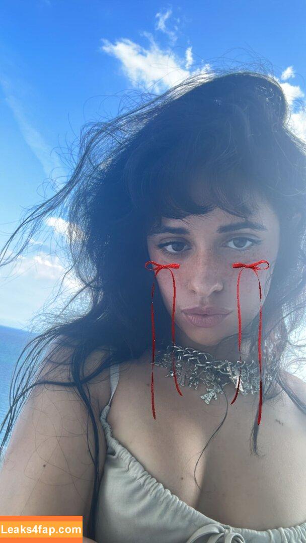 Camila Cabello / Camila_Cabello / camilacabello / iamgabrielaung leaked photo photo #1013