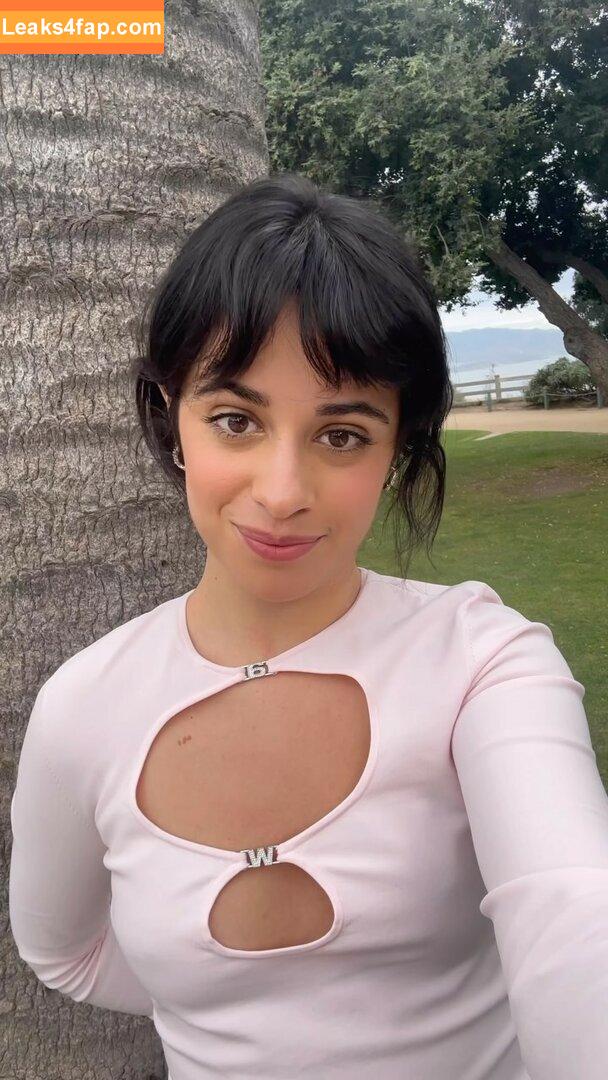 Camila Cabello / Camila_Cabello / camilacabello / iamgabrielaung leaked photo photo #1014