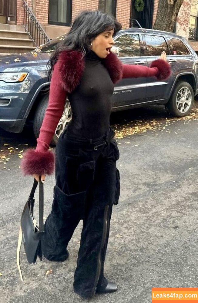 Camila Cabello / Camila_Cabello / camilacabello / iamgabrielaung leaked photo photo #1015