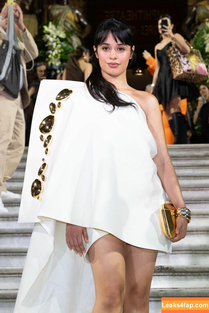 Camila Cabello / Camila_Cabello / camilacabello / iamgabrielaung leaked photo photo #1071