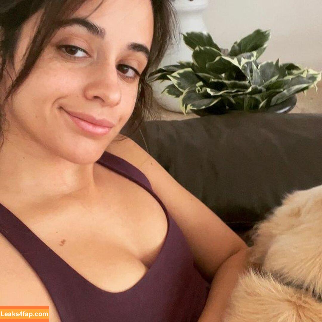 Camila Cabello / Camila_Cabello / camilacabello / iamgabrielaung leaked photo photo #1089