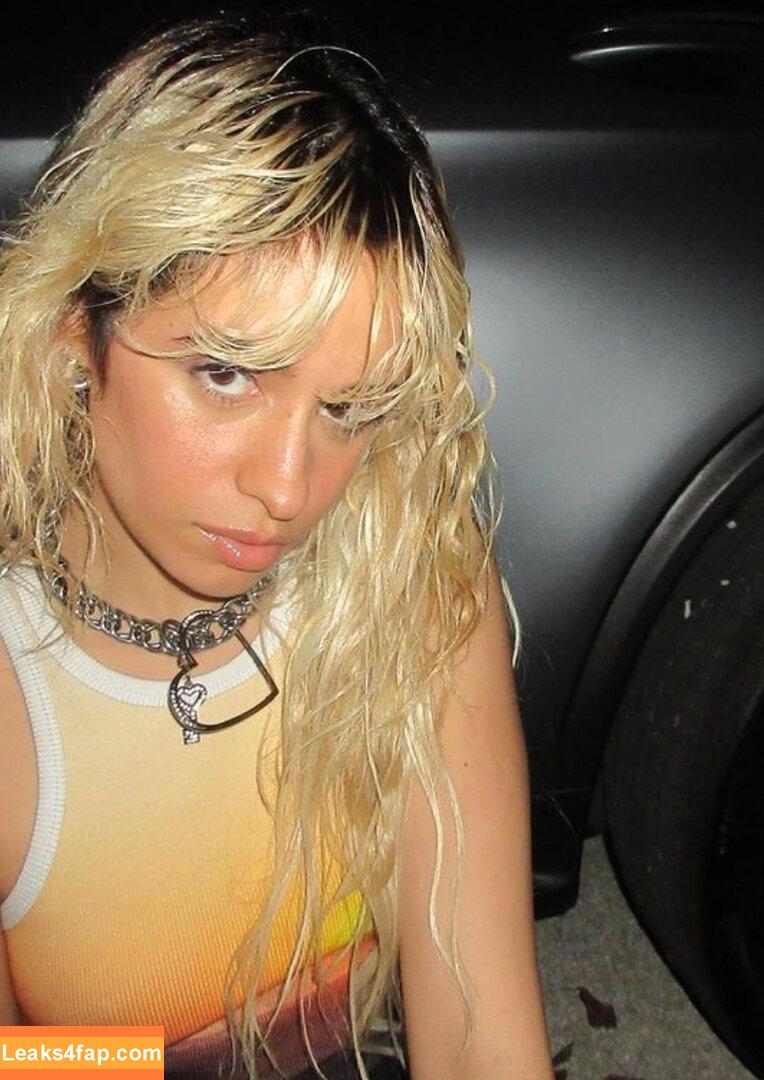 Camila Cabello / Camila_Cabello / camilacabello / iamgabrielaung leaked photo photo #1210