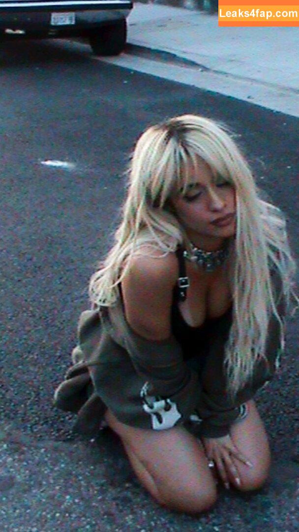 Camila Cabello / Camila_Cabello / camilacabello / iamgabrielaung leaked photo photo #1361