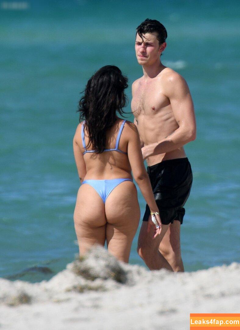 Camila Cabello / Camila_Cabello / camilacabello / iamgabrielaung leaked photo photo #1600