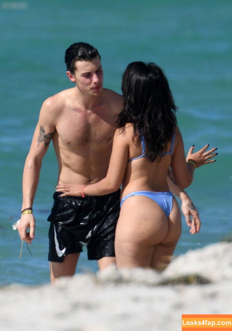 Camila Cabello / Camila_Cabello / camilacabello / iamgabrielaung leaked photo photo #1601