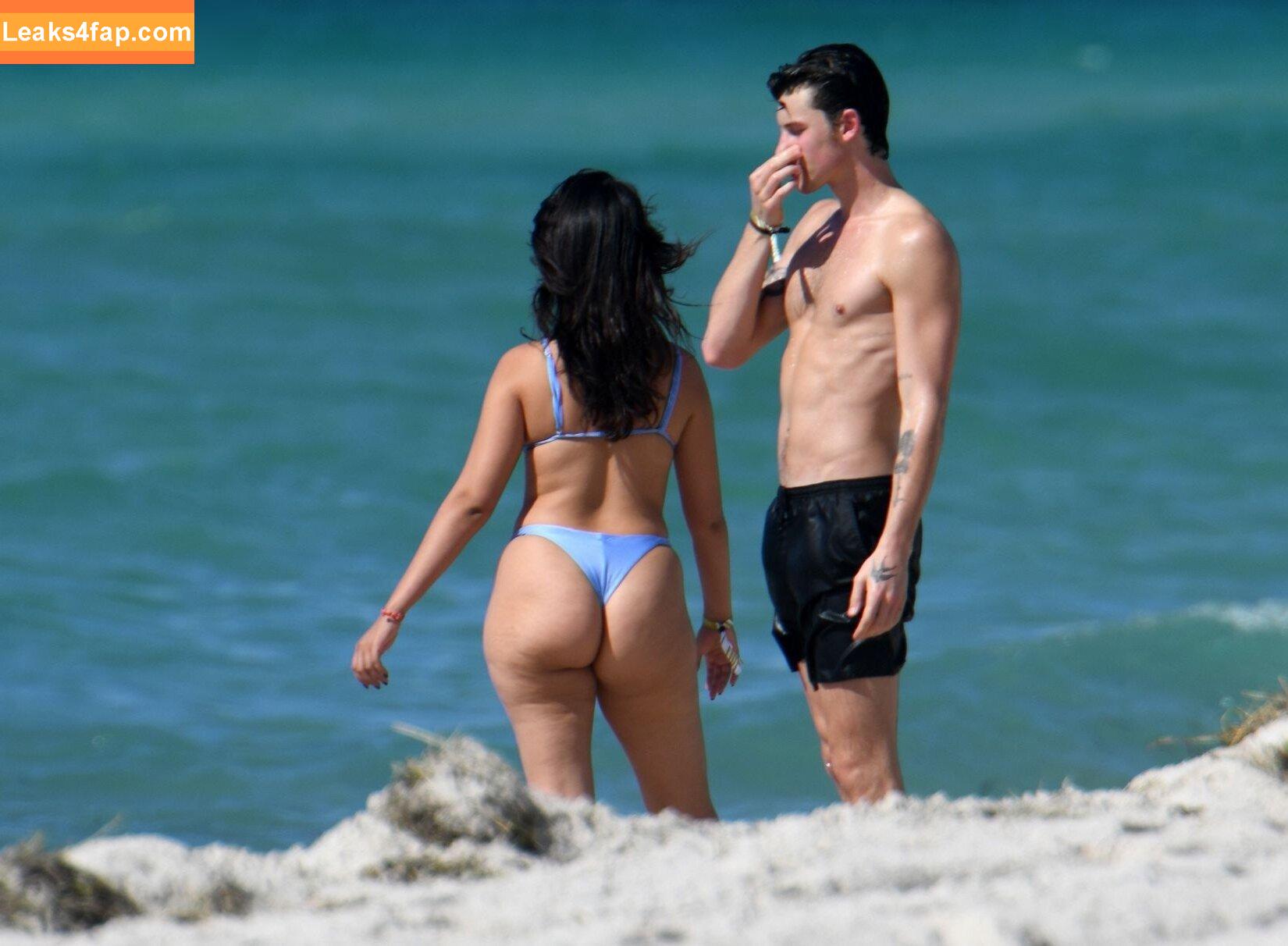 Camila Cabello / Camila_Cabello / camilacabello / iamgabrielaung leaked photo photo #1603