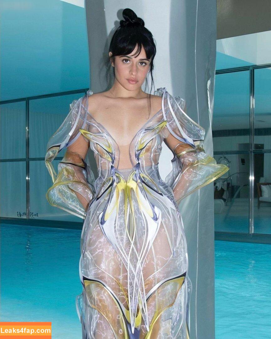 Camila Cabello / Camila_Cabello / camilacabello / iamgabrielaung leaked photo photo #1638
