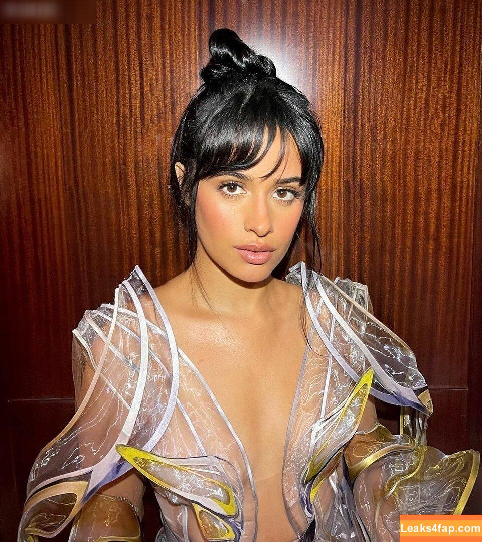 Camila Cabello / Camila_Cabello / camilacabello / iamgabrielaung leaked photo photo #1640