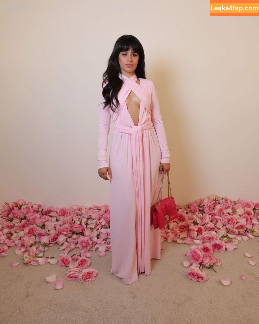Camila Cabello / Camila_Cabello / camilacabello / iamgabrielaung leaked photo photo #1646