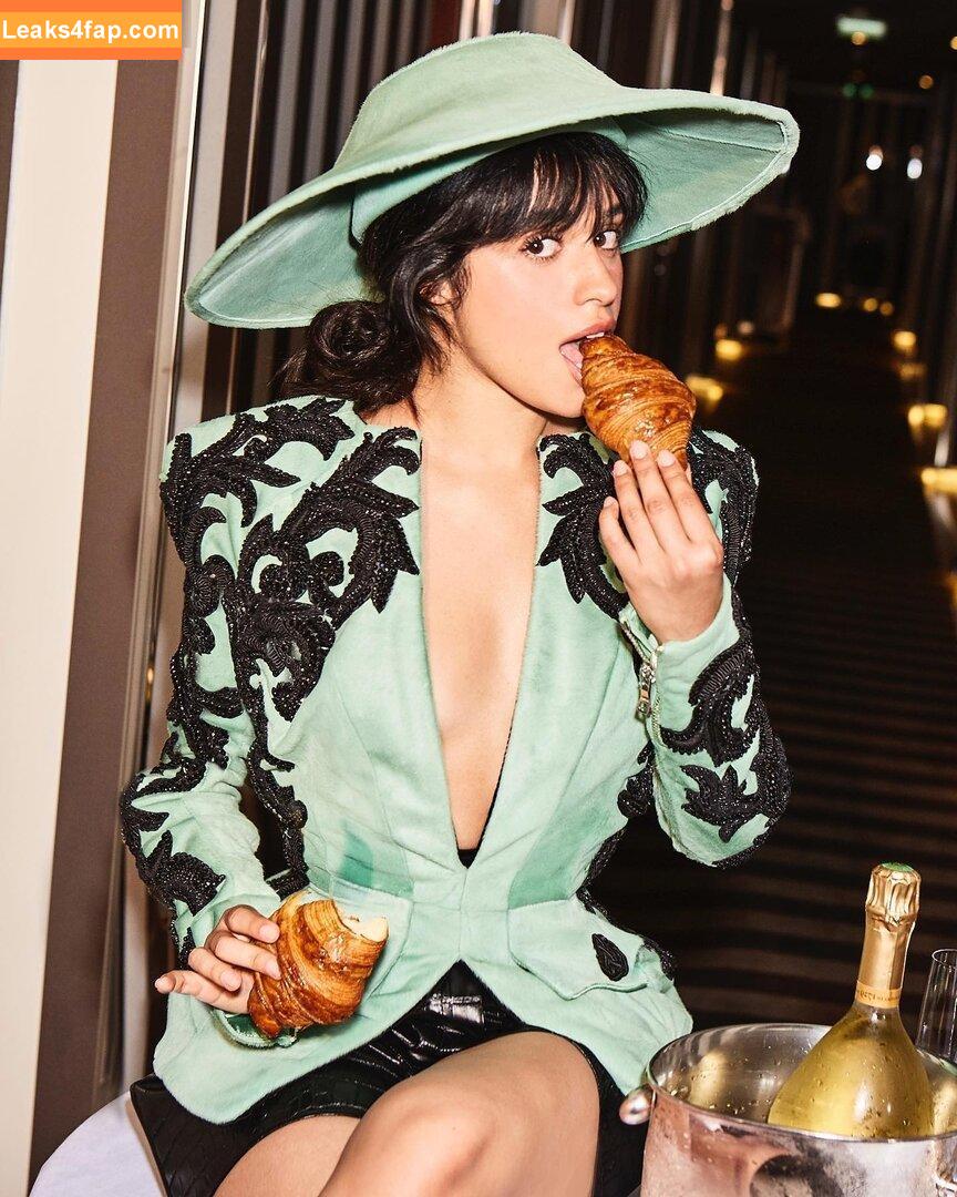 Camila Cabello / Camila_Cabello / camilacabello / iamgabrielaung leaked photo photo #1666