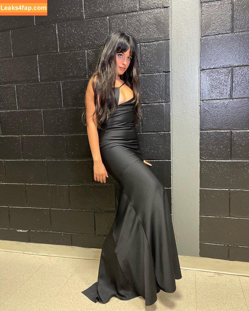 Camila Cabello / Camila_Cabello / camilacabello / iamgabrielaung leaked photo photo #1688