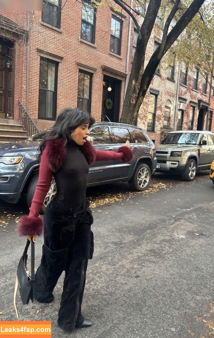 Camila Cabello / Camila_Cabello / camilacabello / iamgabrielaung leaked photo photo #1774