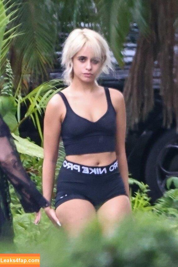 Camila Cabello / Camila_Cabello / camilacabello / iamgabrielaung leaked photo photo #1785