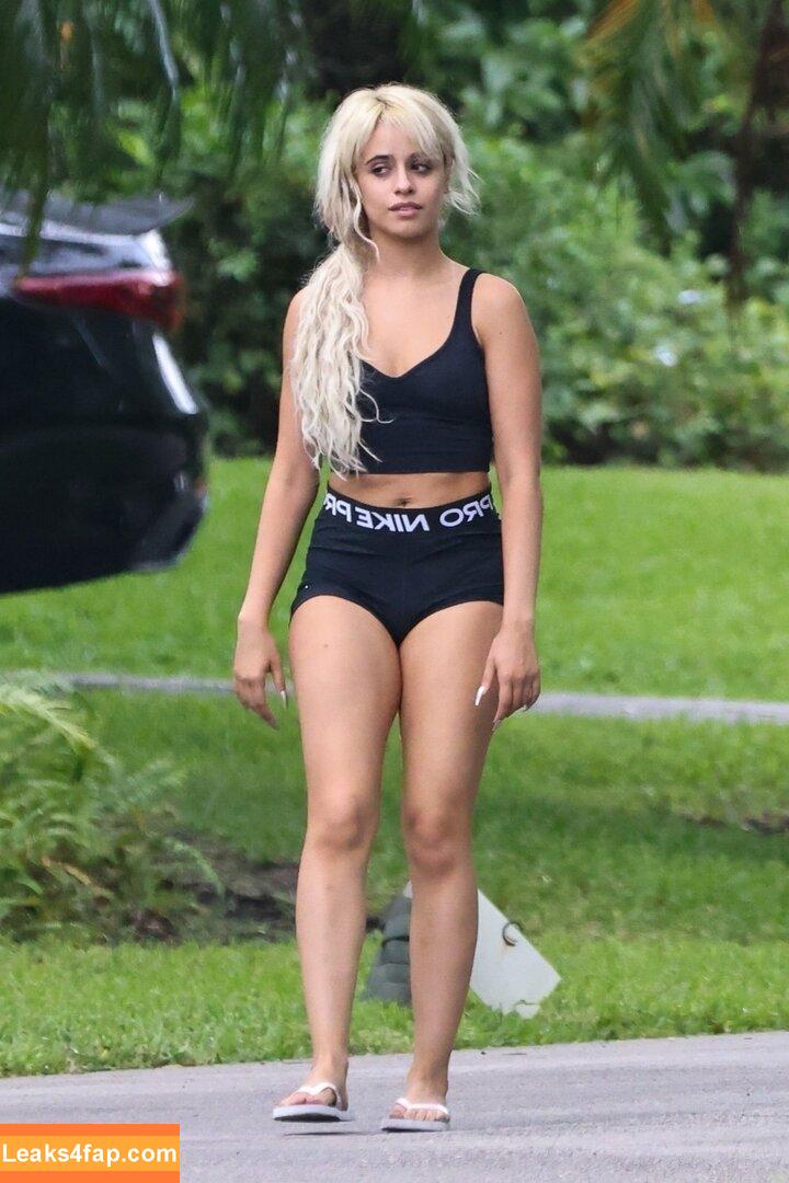 Camila Cabello / Camila_Cabello / camilacabello / iamgabrielaung leaked photo photo #1786