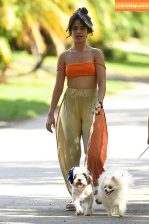 Camila Cabello photo #1102