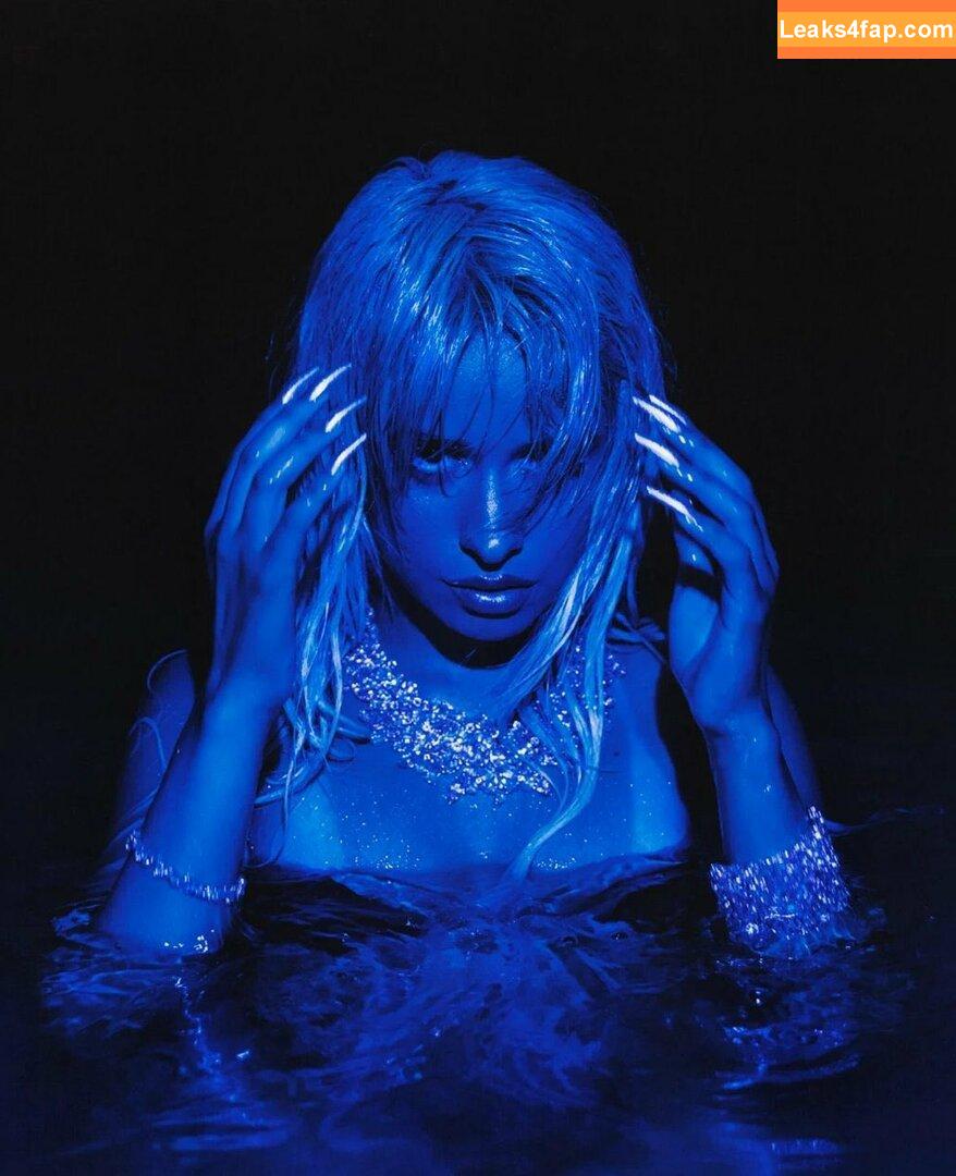 Camila Cabello / Camila_Cabello / camilacabello / iamgabrielaung leaked photo photo #2022