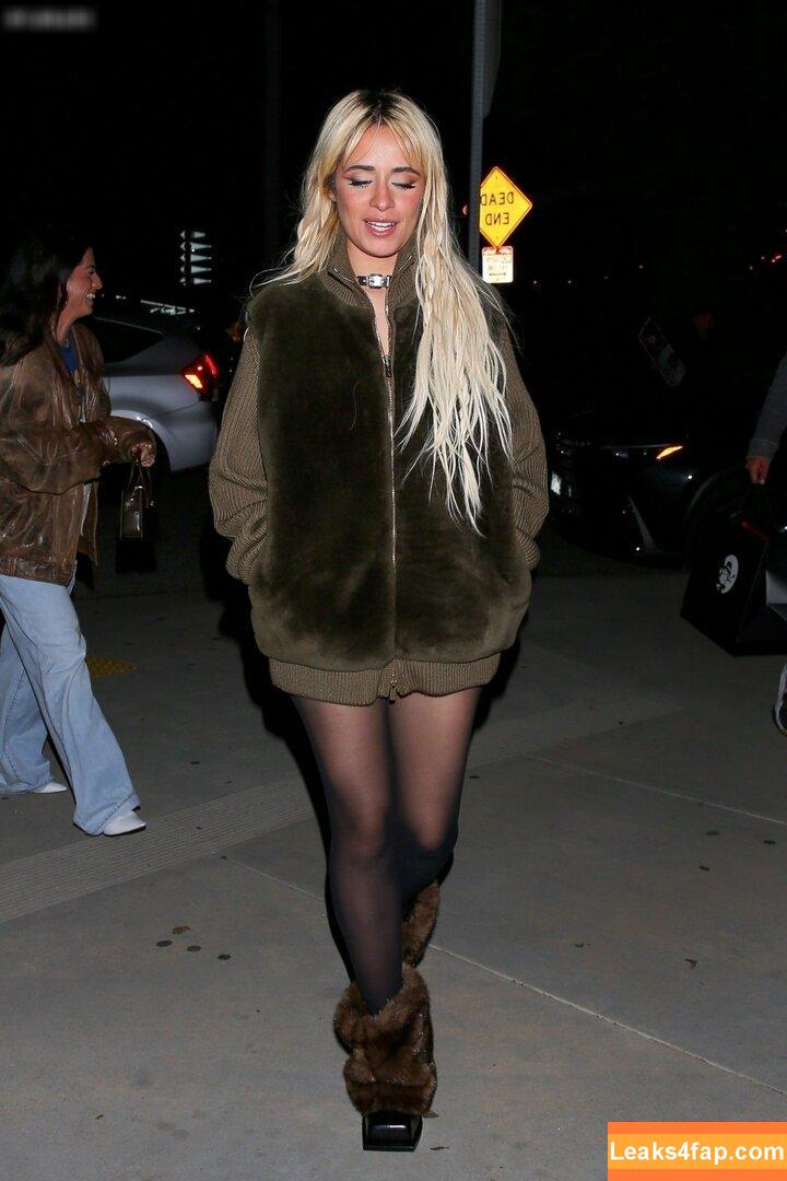 Camila Cabello / Camila_Cabello / camilacabello / iamgabrielaung leaked photo photo #2028