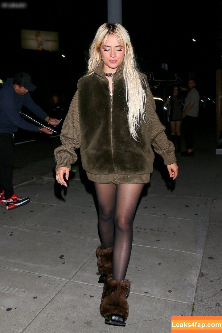 Camila Cabello / Camila_Cabello / iamgabrielaung leaked photo photo #2037