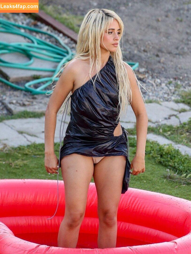 Camila Cabello / Camila_Cabello / iamgabrielaung leaked photo photo #2159