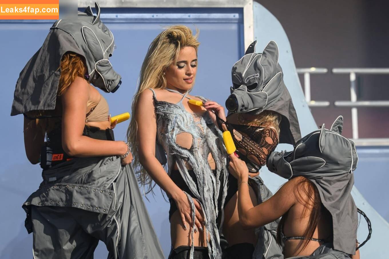 Camila Cabello / Camila_Cabello / iamgabrielaung leaked photo photo #2309