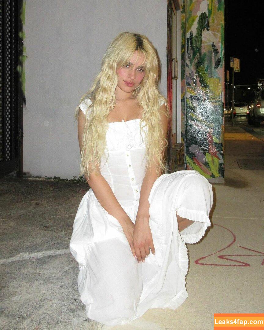 Camila Cabello / Camila_Cabello / iamgabrielaung leaked photo photo #2326