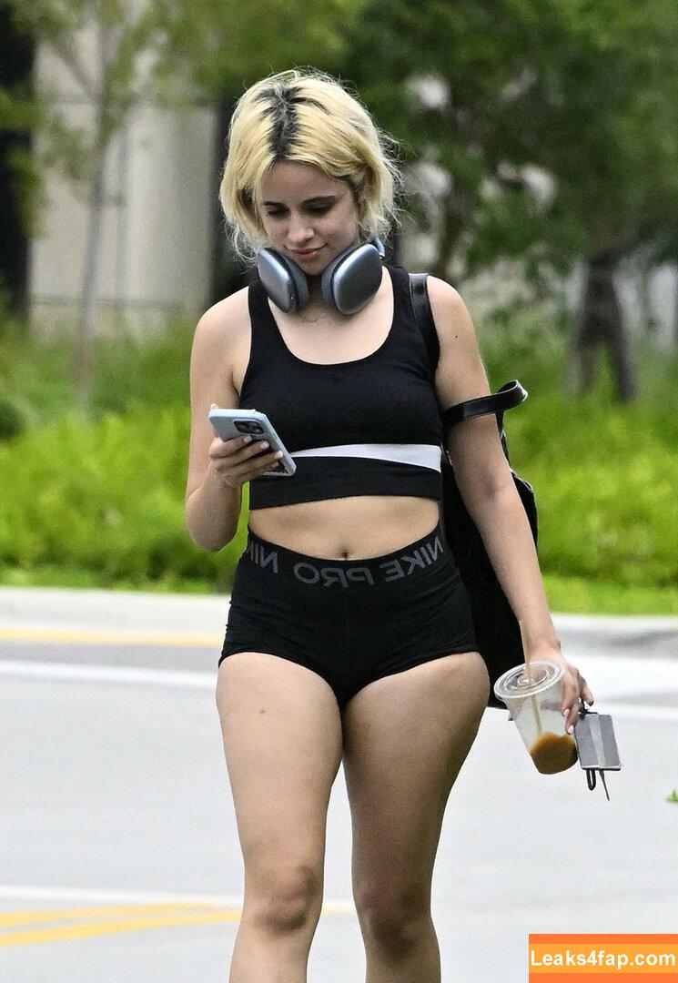 Camila Cabello / Camila_Cabello / iamgabrielaung leaked photo photo #2334