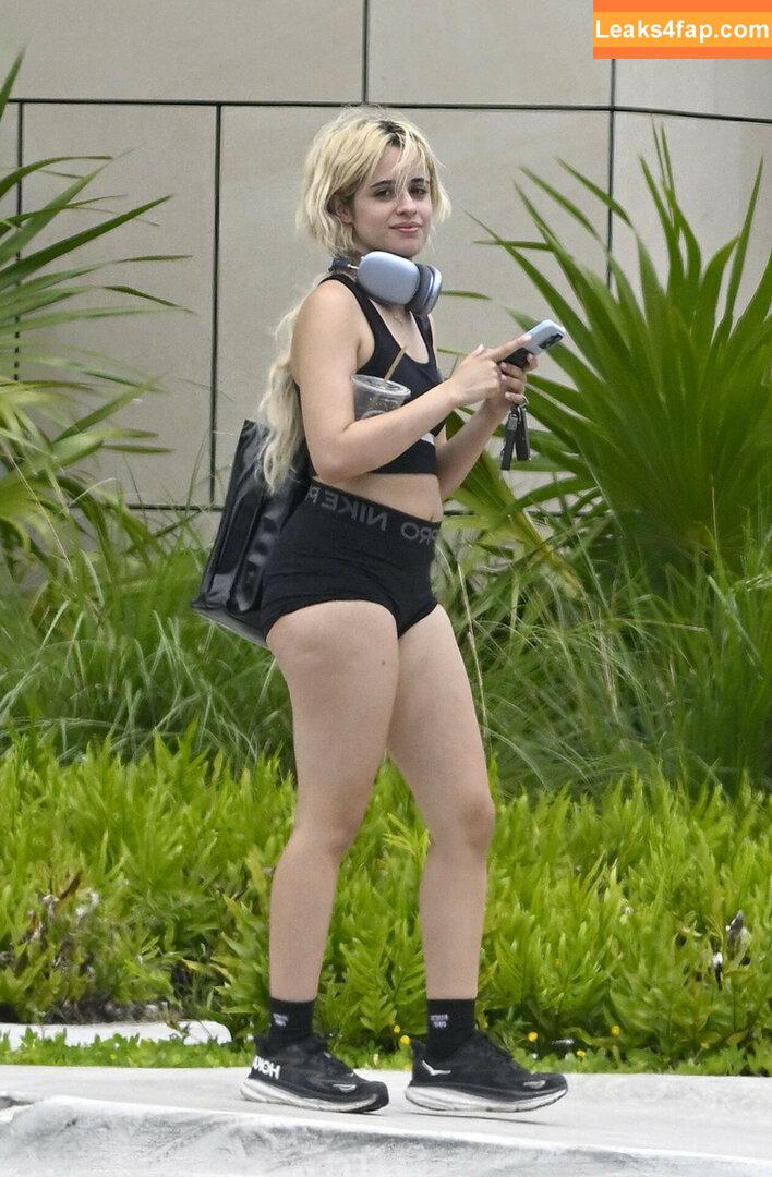 Camila Cabello / Camila_Cabello / iamgabrielaung leaked photo photo #2356