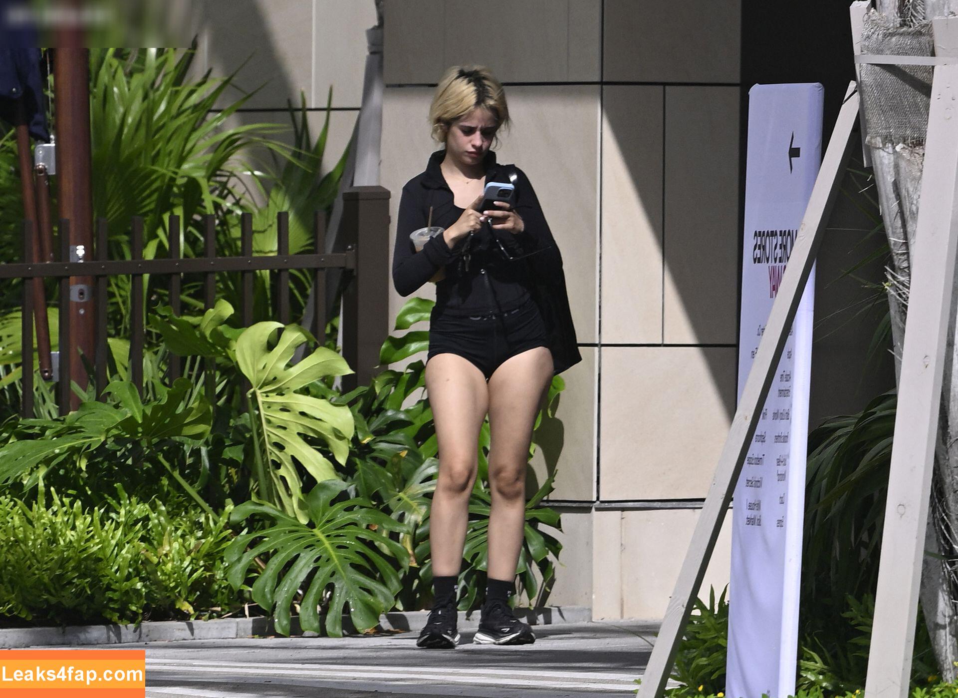 Camila Cabello / Camila_Cabello / iamgabrielaung leaked photo photo #2358