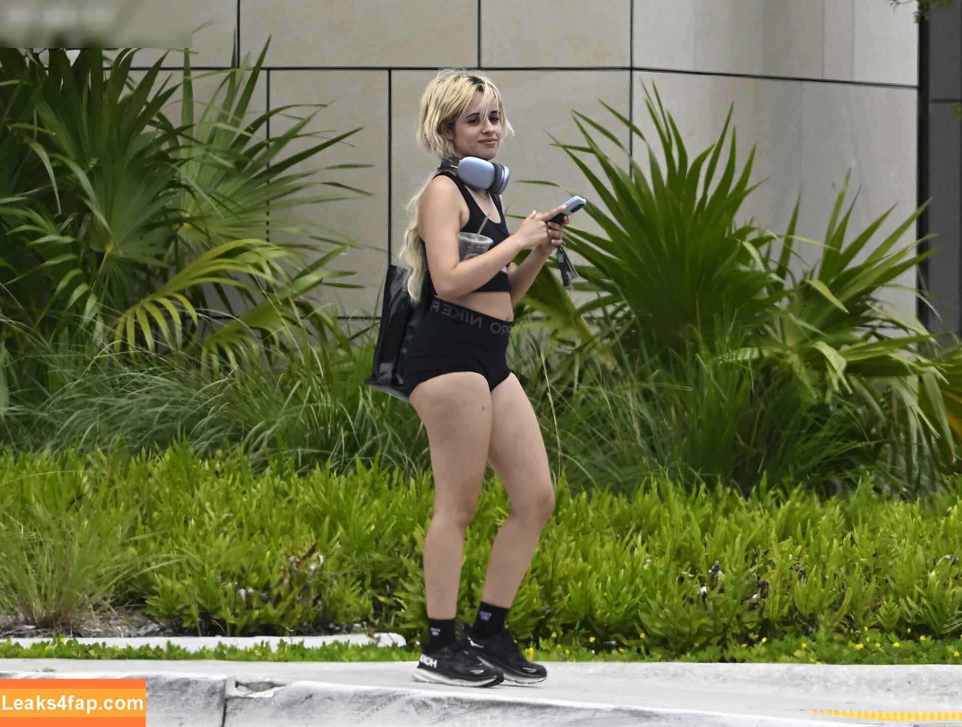 Camila Cabello / Camila_Cabello / iamgabrielaung leaked photo photo #2359