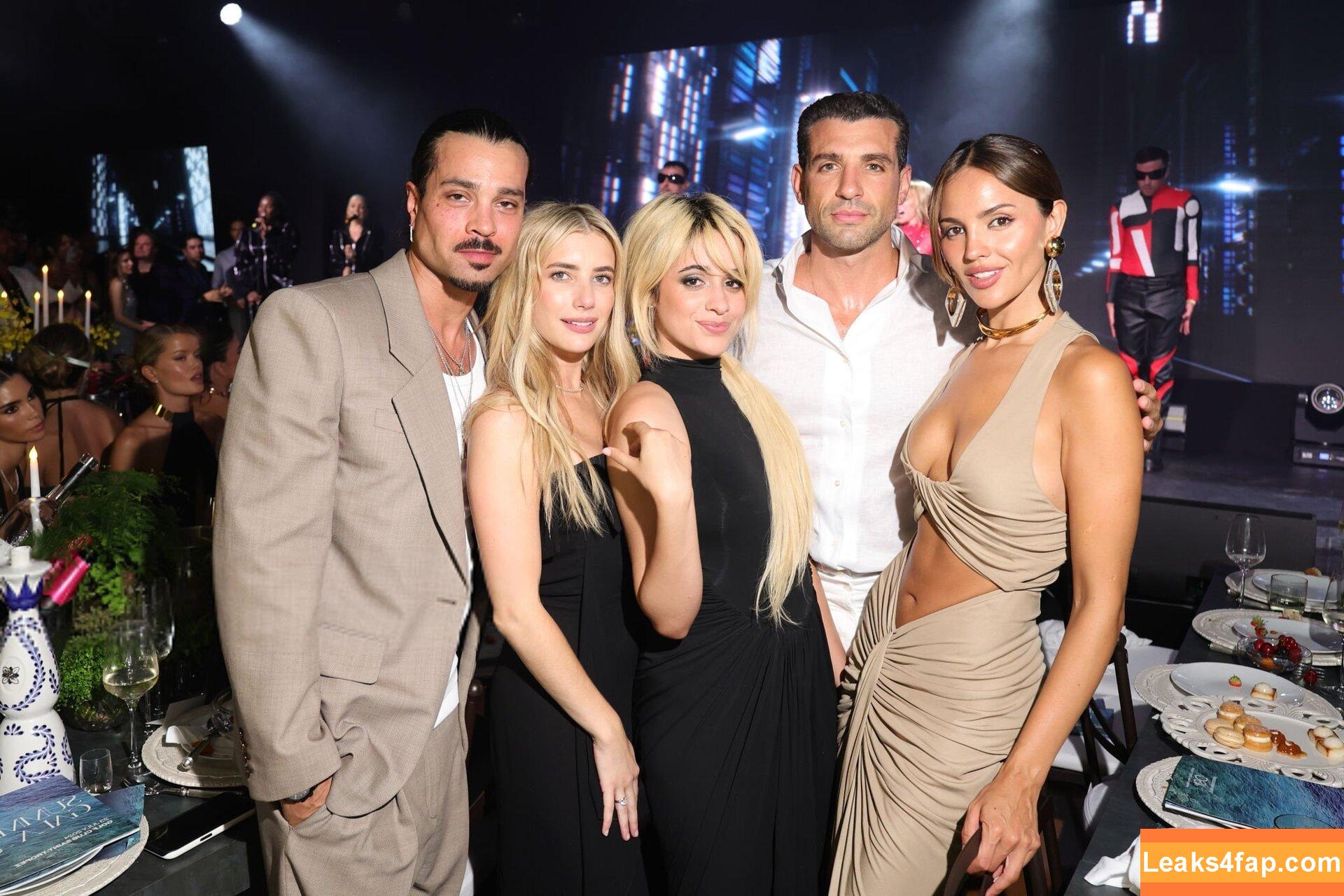 Camila Cabello / Camila_Cabello / iamgabrielaung leaked photo photo #2397