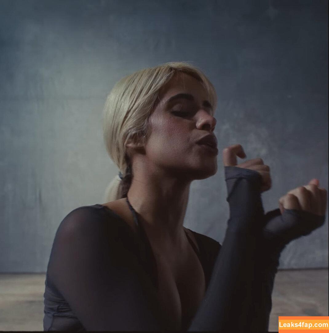 Camila Cabello / Camila_Cabello / iamgabrielaung leaked photo photo #2438