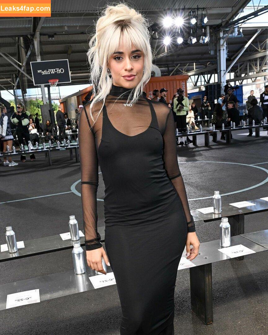 Camila Cabello / Camila_Cabello / iamgabrielaung слитое фото фото #2668