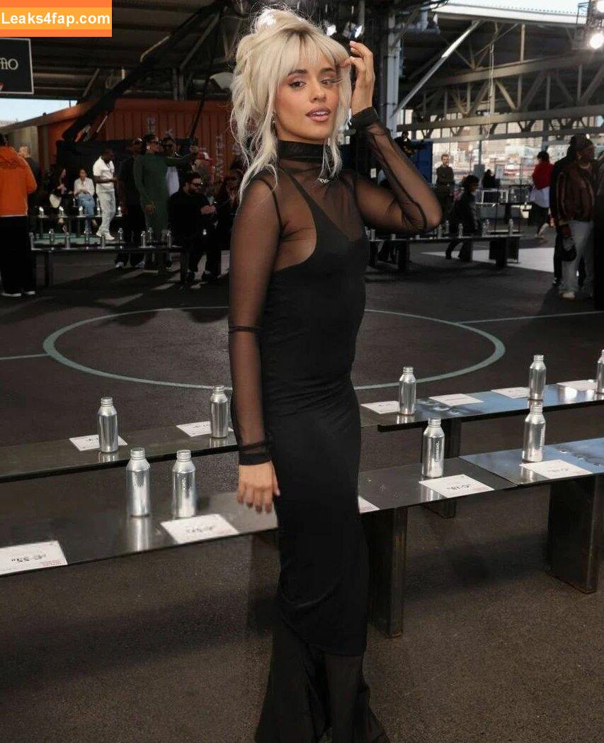 Camila Cabello / Camila_Cabello / iamgabrielaung слитое фото фото #2669