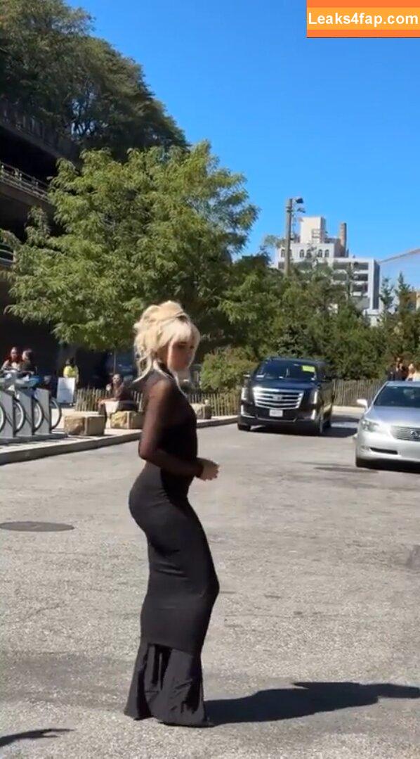 Camila Cabello / Camila_Cabello / iamgabrielaung слитое фото фото #2681