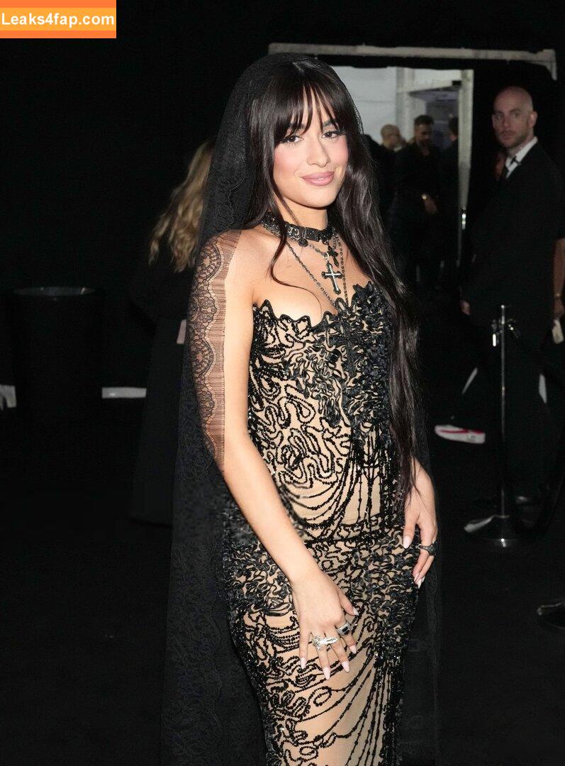 Camila Cabello / Camila_Cabello / iamgabrielaung слитое фото фото #2718