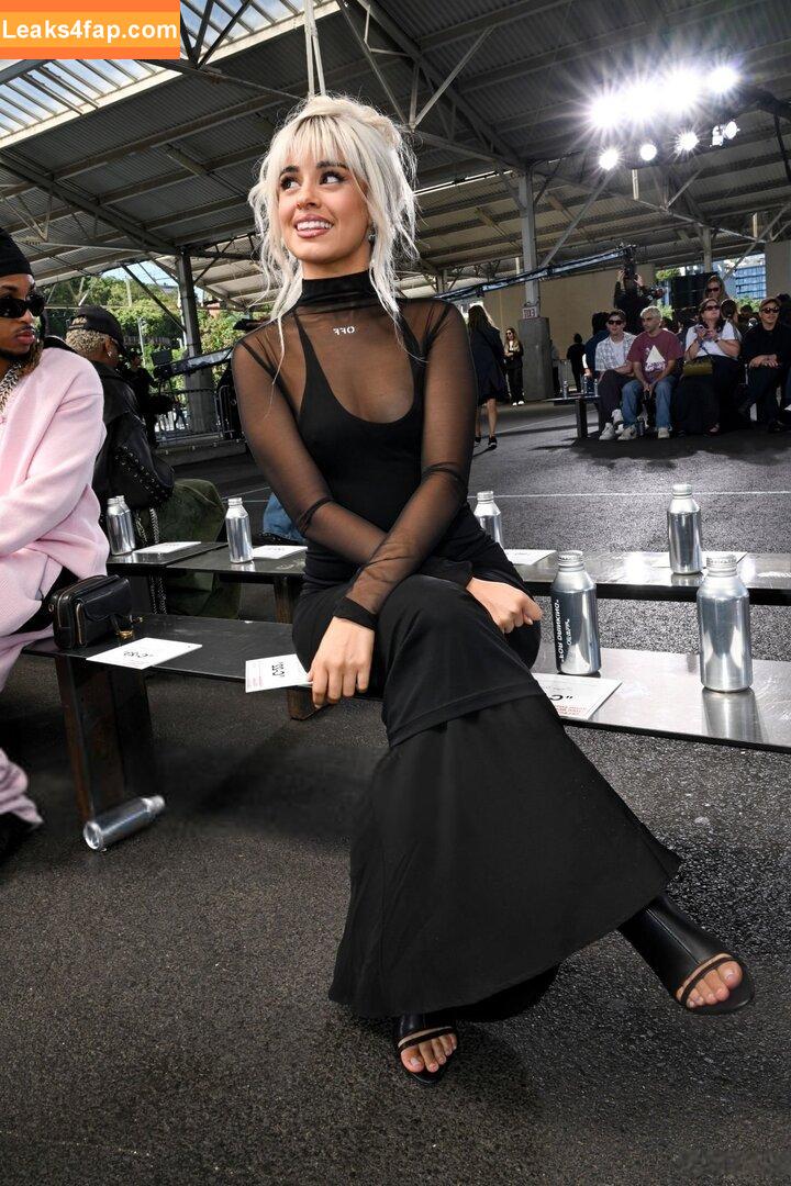 Camila Cabello / Camila_Cabello / iamgabrielaung слитое фото фото #2766