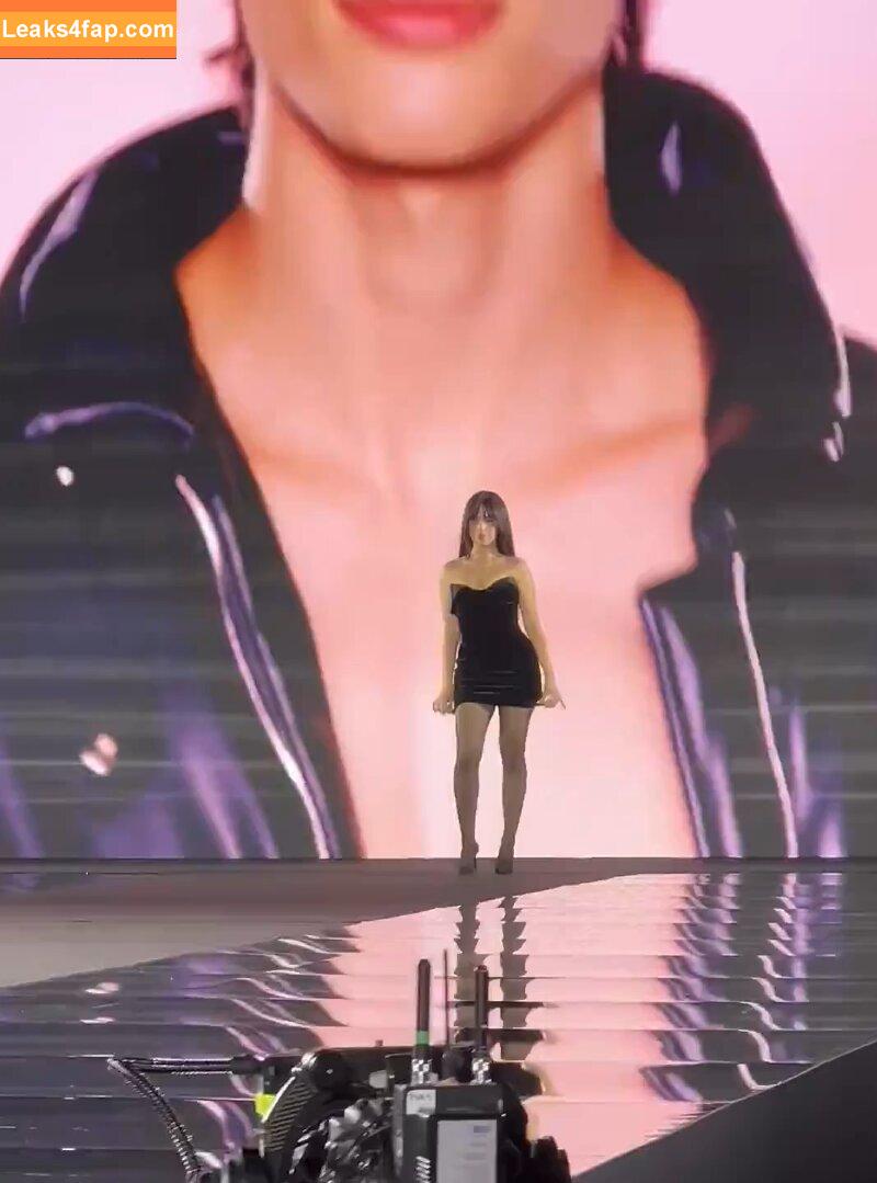 Camila Cabello / Camila_Cabello / iamgabrielaung слитое фото фото #2830