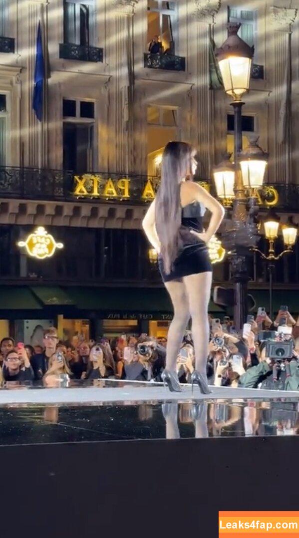 Camila Cabello / Camila_Cabello / iamgabrielaung слитое фото фото #2982