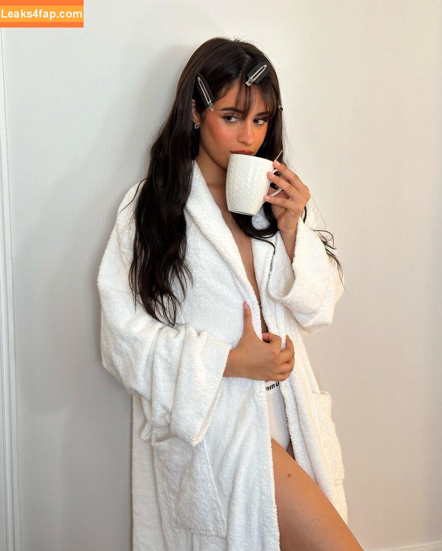 Camila Cabello / Camila_Cabello / iamgabrielaung слитое фото фото #3005