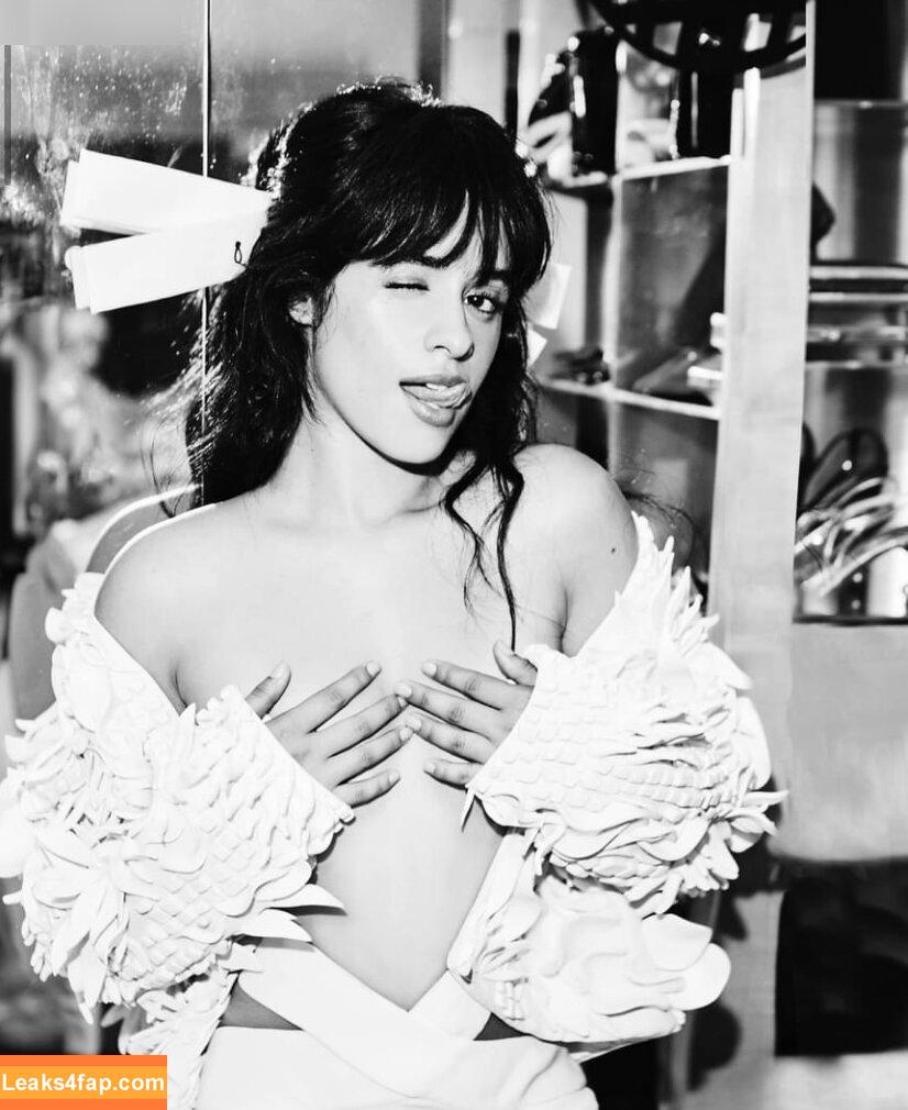 Camila Cabello / Camila_Cabello / iamgabrielaung слитое фото фото #3053