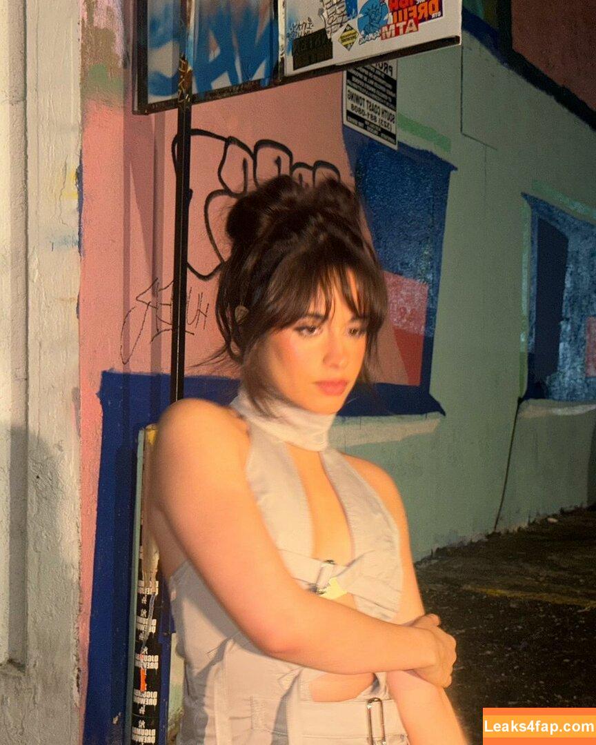 Camila Cabello / Camila_Cabello / iamgabrielaung слитое фото фото #3123