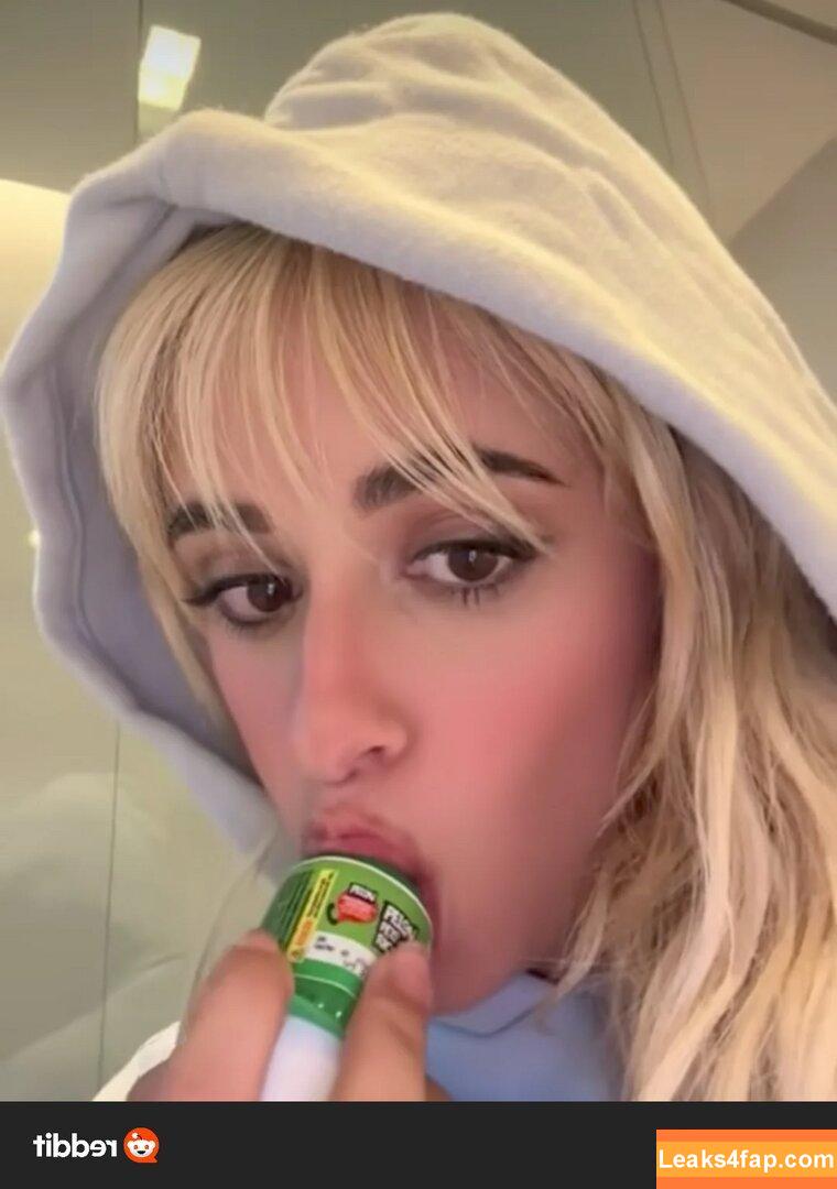 Camila Cabello / Camila_Cabello / iamgabrielaung слитое фото фото #3144