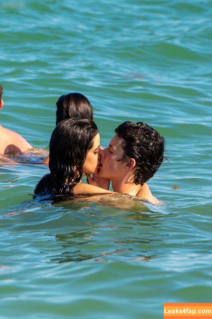 Camila Cabello / Camila_Cabello / iamgabrielaung слитое фото фото #3196