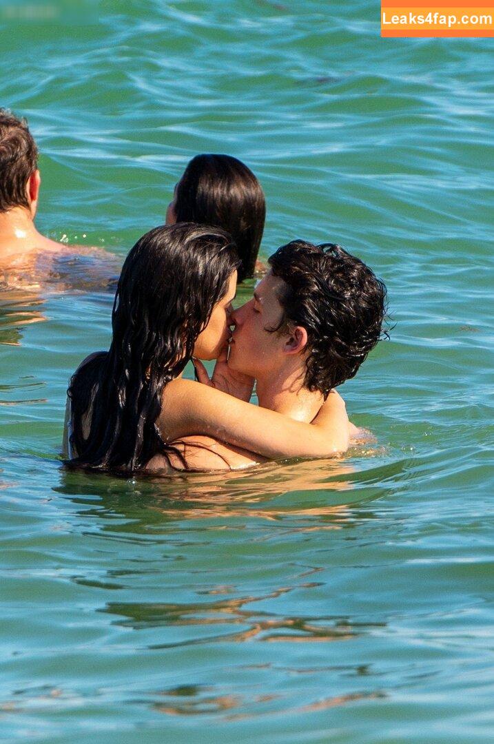 Camila Cabello / Camila_Cabello / iamgabrielaung слитое фото фото #3199