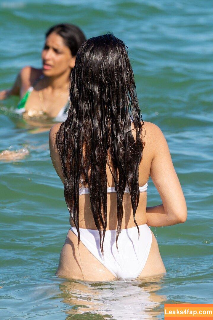 Camila Cabello / Camila_Cabello / iamgabrielaung слитое фото фото #3215