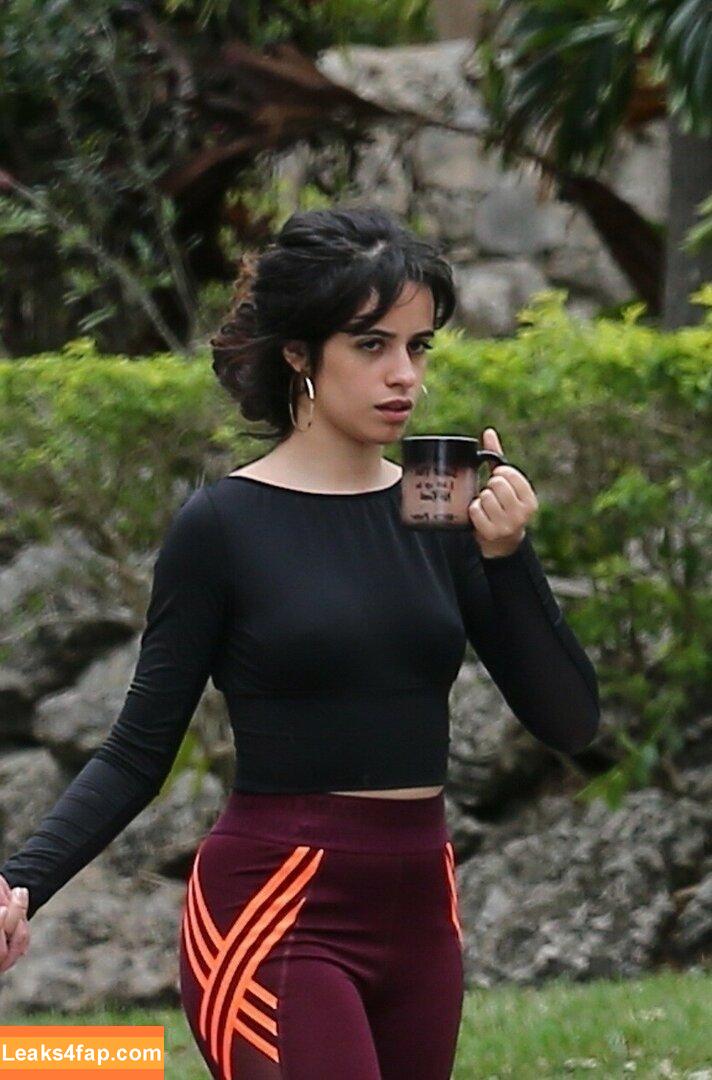 Camila Cabello / Camila_Cabello / iamgabrielaung слитое фото фото #3262